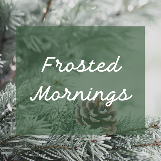 Frosted Mornings Christmas Collection